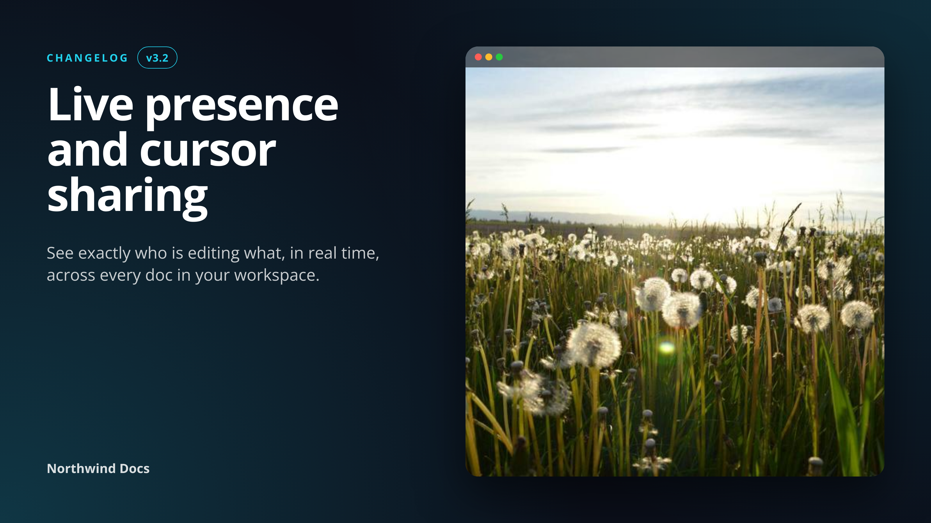 Project Showcase template preview, a developer image generated by the html2img API